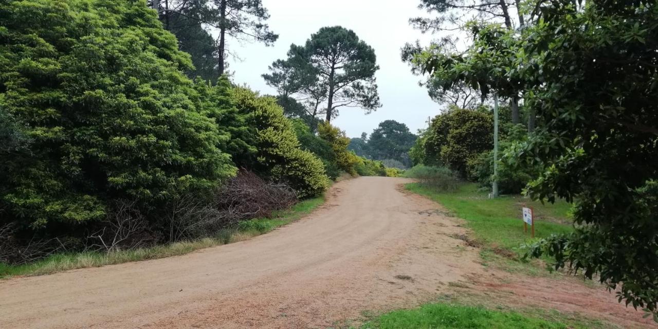 Las chozas Punta del Este Habitación foto